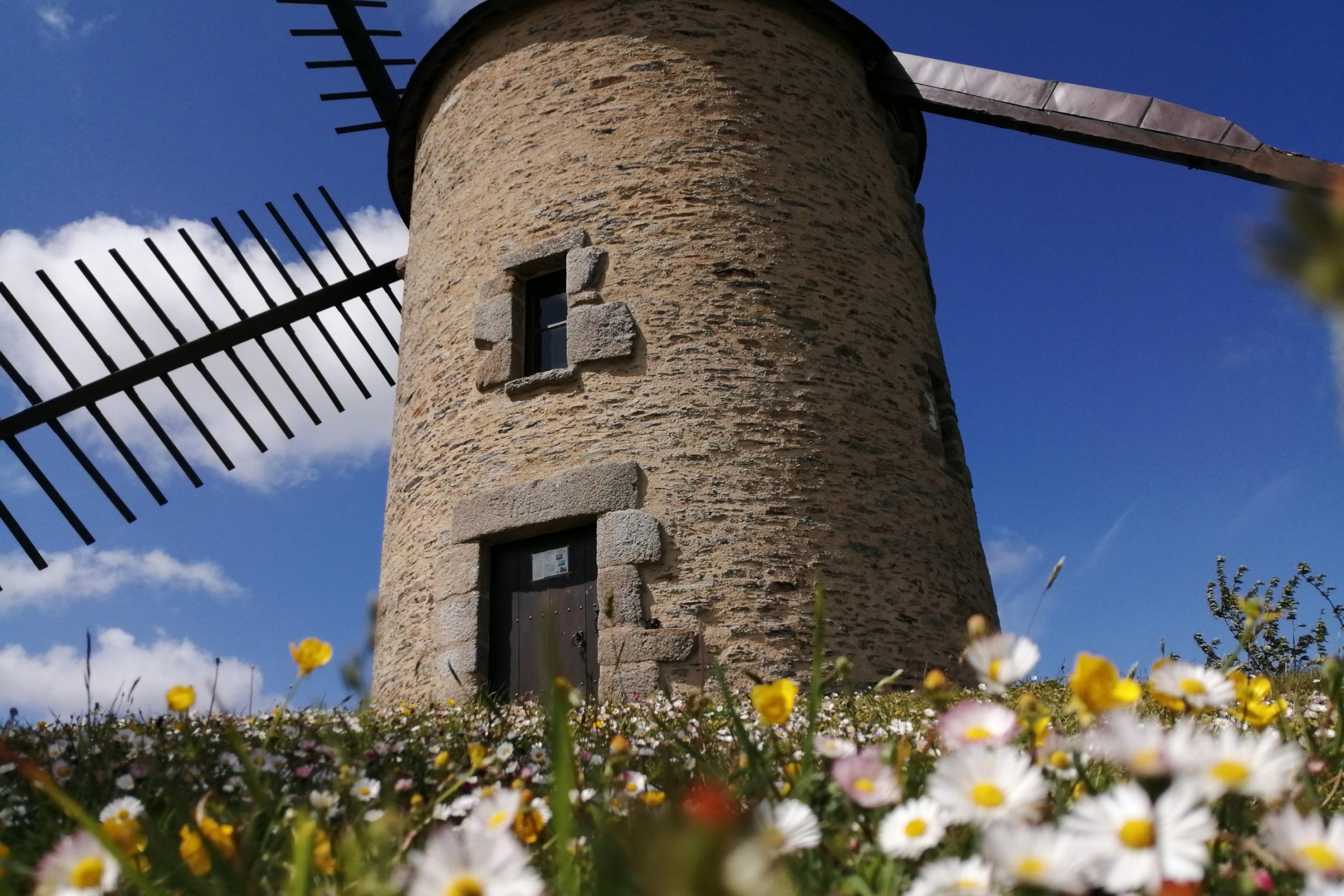 moulin-vent-copy-St-Jacut-72